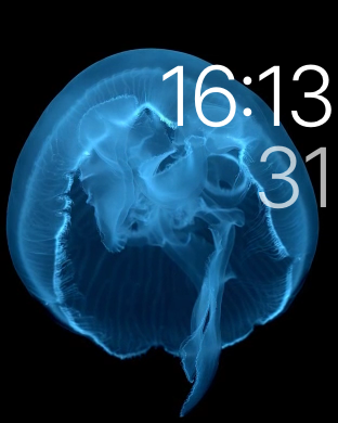 watchOS Watch Face